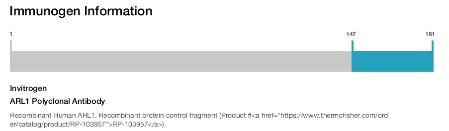 ARL1 Polyclonal Antibody