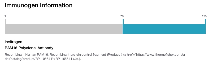 PAM16 Polyclonal Antibody