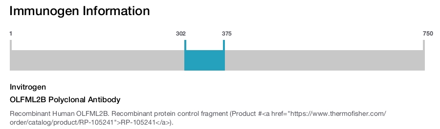 OLFML2B Polyclonal Antibody