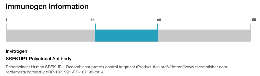 SREK1IP1 Polyclonal Antibody