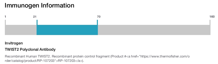 TWIST2 Polyclonal Antibody