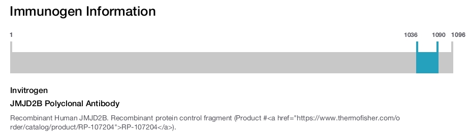 JMJD2B Polyclonal Antibody