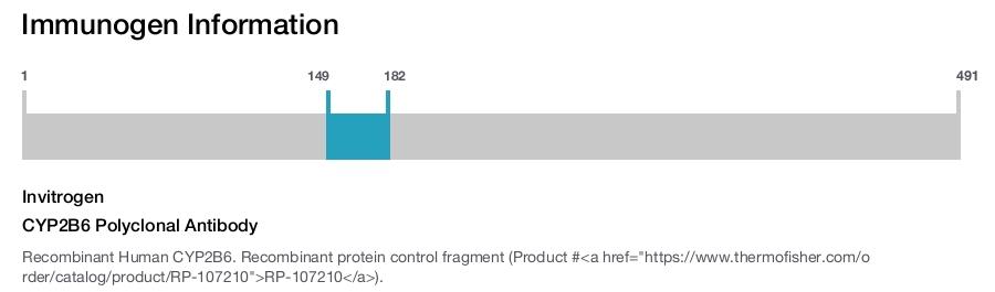 CYP2B6 Polyclonal Antibody