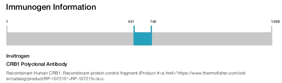 CRB1 Polyclonal Antibody