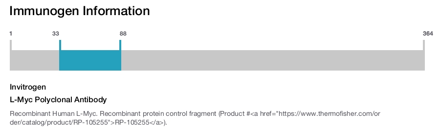L-Myc Polyclonal Antibody