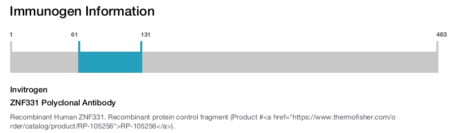 ZNF331 Polyclonal Antibody