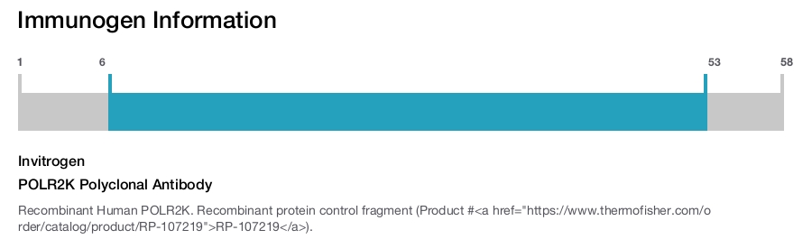POLR2K Polyclonal Antibody