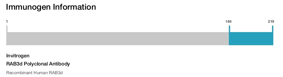 RAB3d Polyclonal Antibody