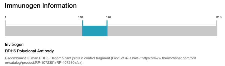 RDH5 Polyclonal Antibody