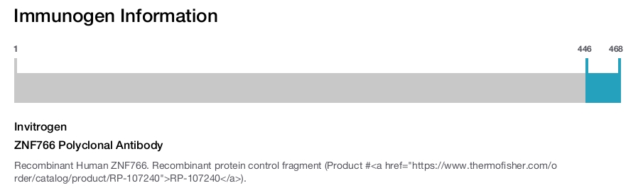ZNF766 Polyclonal Antibody
