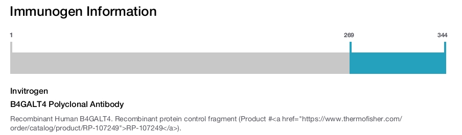 B4GALT4 Polyclonal Antibody