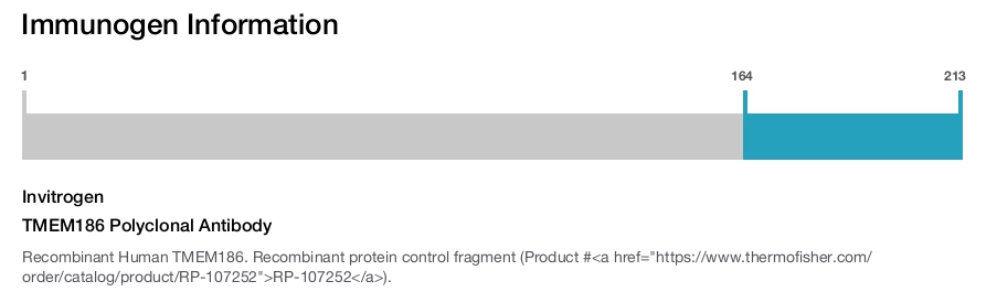 TMEM186 Polyclonal Antibody