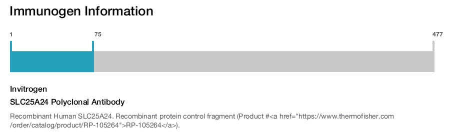 SLC25A24 Polyclonal Antibody