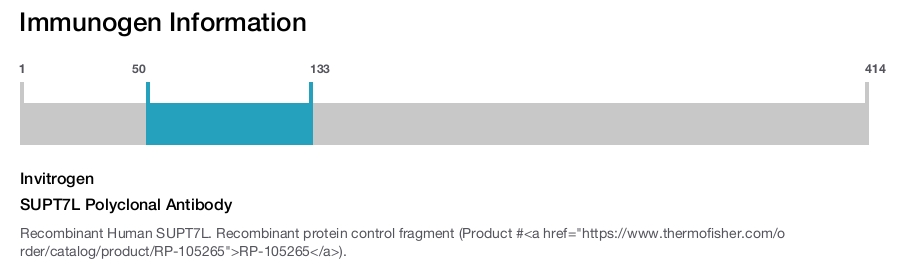 SUPT7L Polyclonal Antibody