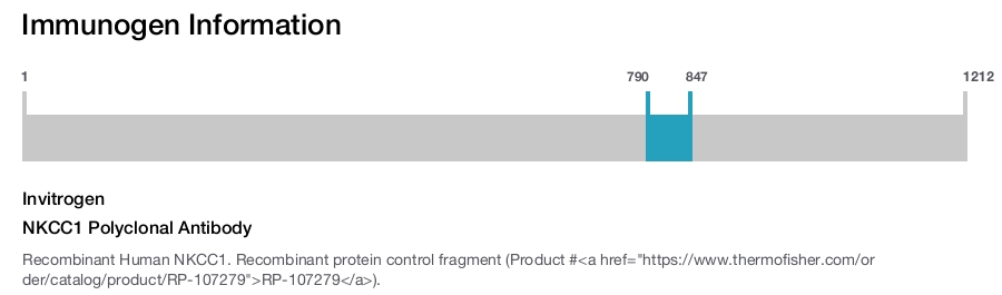 NKCC1 Polyclonal Antibody