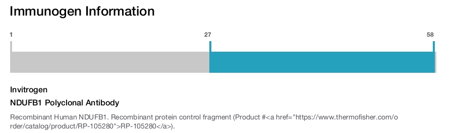 NDUFB1 Polyclonal Antibody