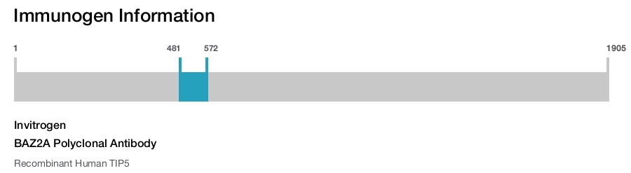 BAZ2A Polyclonal Antibody