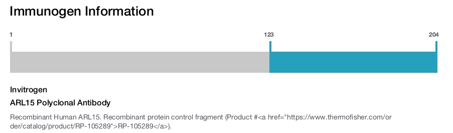 ARL15 Polyclonal Antibody