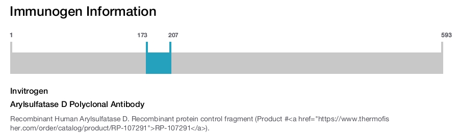 Arylsulfatase D Polyclonal Antibody