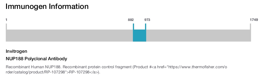NUP188 Polyclonal Antibody