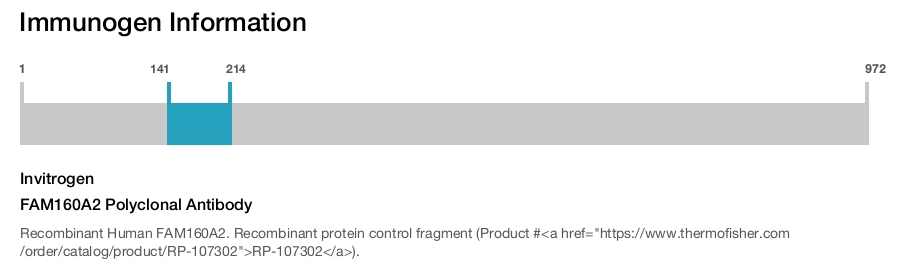 FAM160A2 Polyclonal Antibody