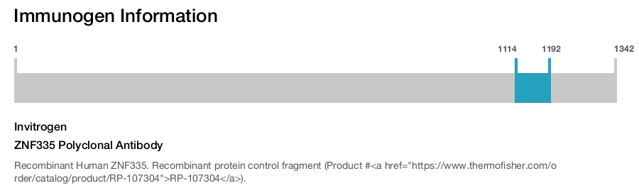 ZNF335 Polyclonal Antibody