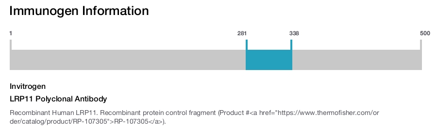 LRP11 Polyclonal Antibody