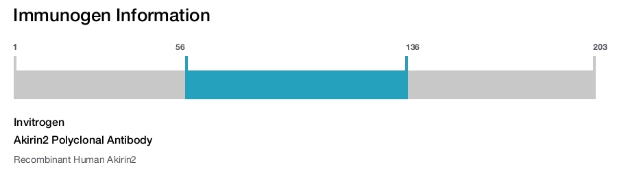 Akirin2 Polyclonal Antibody