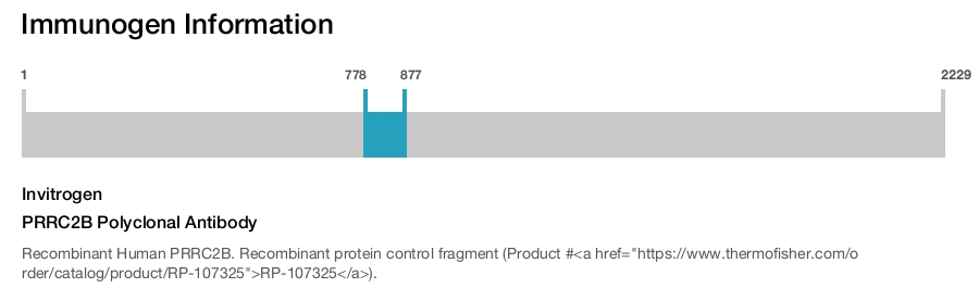 PRRC2B Polyclonal Antibody
