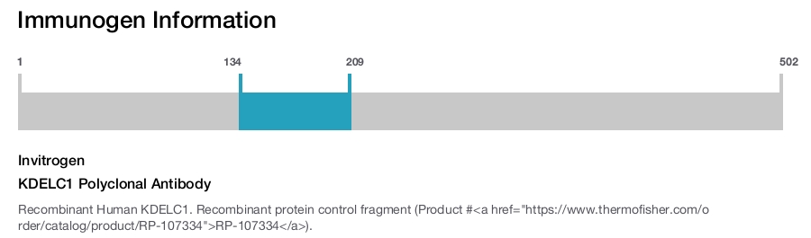 KDELC1 Polyclonal Antibody