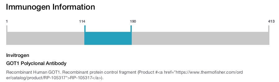 GOT1 Polyclonal Antibody