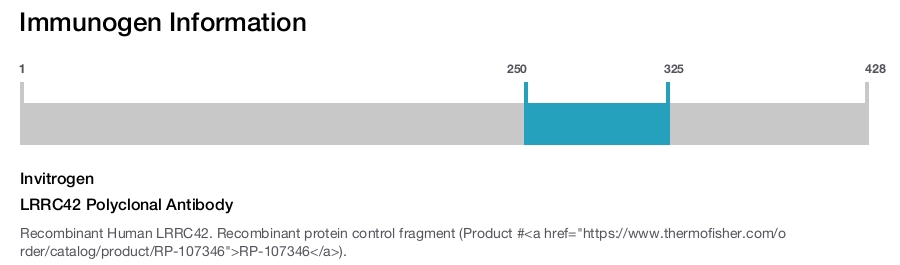 LRRC42 Polyclonal Antibody