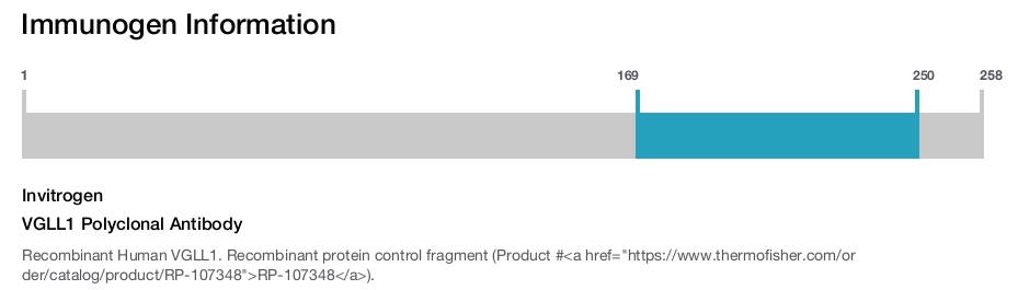 VGLL1 Polyclonal Antibody
