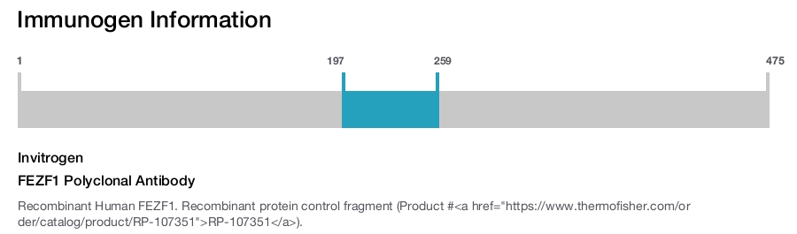 FEZF1 Polyclonal Antibody