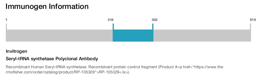 Seryl-tRNA synthetase Polyclonal Antibody