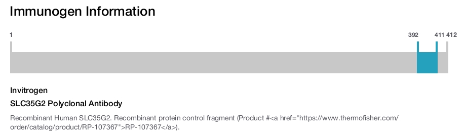 SLC35G2 Polyclonal Antibody
