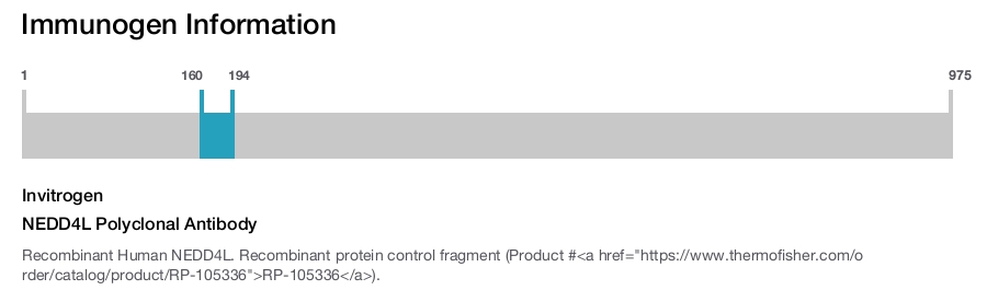 NEDD4L Polyclonal Antibody
