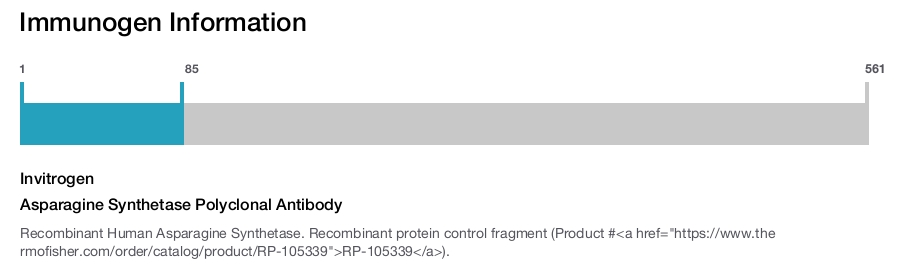 Asparagine Synthetase Polyclonal Antibody