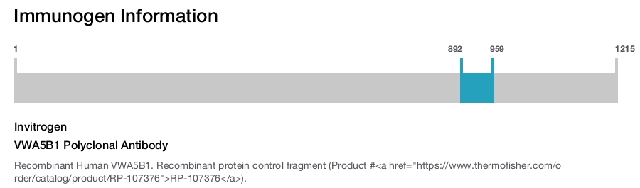 VWA5B1 Polyclonal Antibody