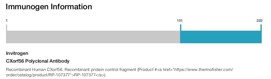 CXorf56 Polyclonal Antibody