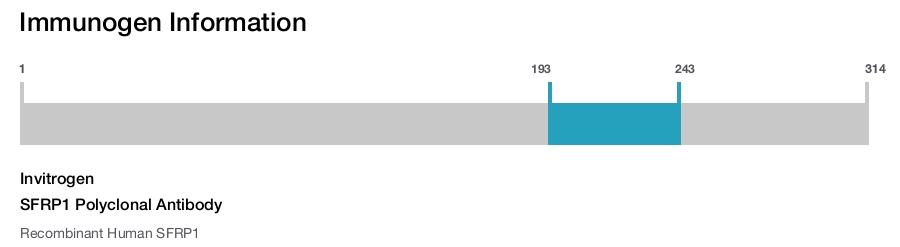 SFRP1 Polyclonal Antibody