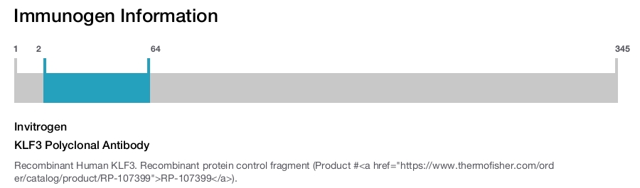 KLF3 Polyclonal Antibody