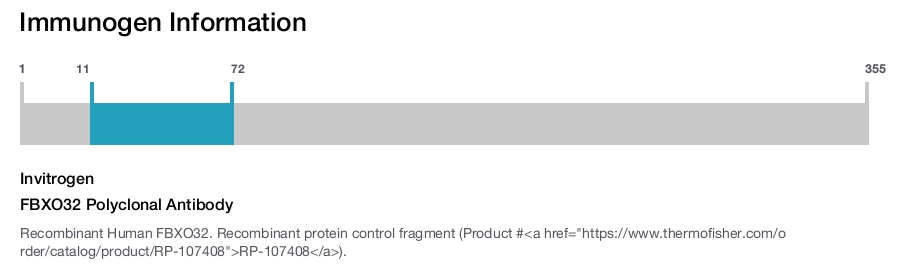 FBXO32 Polyclonal Antibody