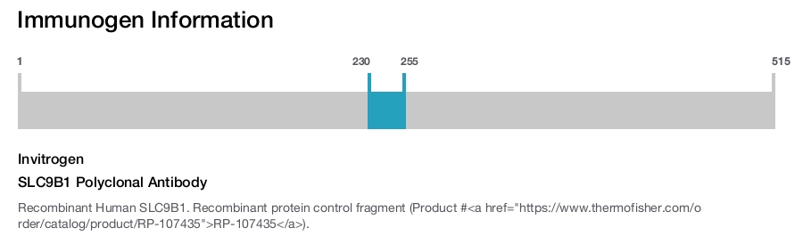 SLC9B1 Polyclonal Antibody