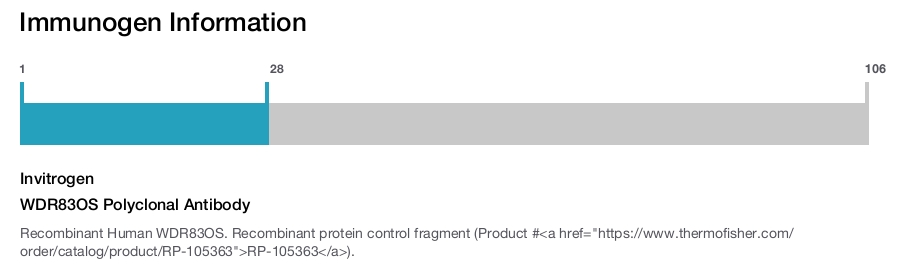 WDR83OS Polyclonal Antibody