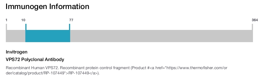VPS72 Polyclonal Antibody