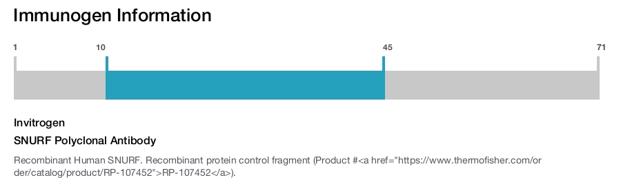 SNURF Polyclonal Antibody