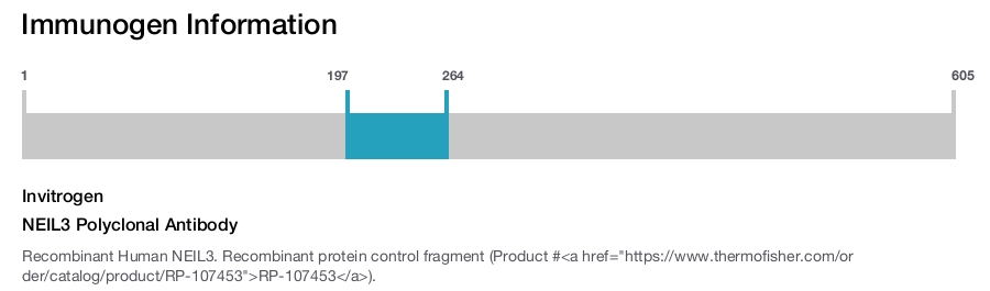 NEIL3 Polyclonal Antibody
