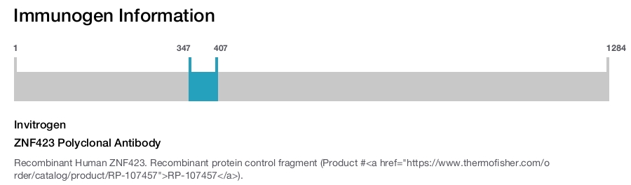 ZNF423 Polyclonal Antibody