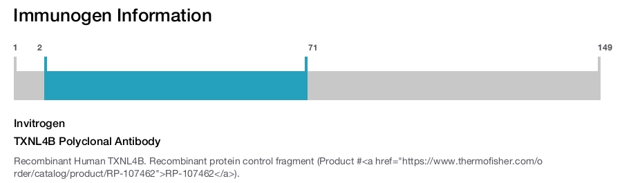TXNL4B Polyclonal Antibody